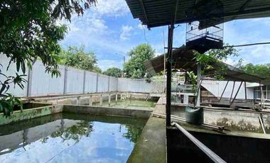 Rumah Mewah Luas 873m2 + Kolam Ikan Bumi Rakata Asri Cilegon Banten