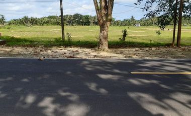 Tanah dijual di Dusun Haurseah, Desa Cijulang, Pangandaran