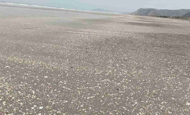 venta de terrenos, en   briceño. Manabi