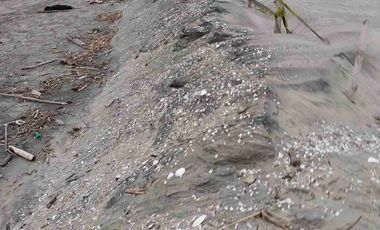 venta de terrenos, en   briceño. Manabi