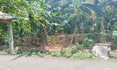 Kavling Murah Dekat Living World Grand Wisata Bekasi