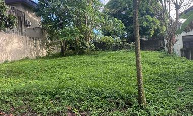 Lot for Sale Mission Hills Antipolo City