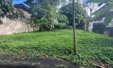 Lot for Sale Mission Hills Antipolo City