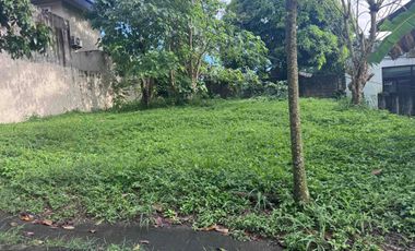 Lot for Sale Mission Hills Antipolo City