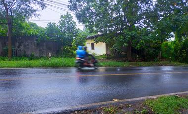 Lahan Luas 1 Hektar di Weleri