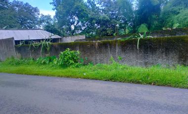 Lahan Luas 1 Hektar di Weleri