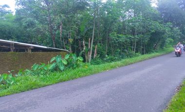 Lahan Luas 1 Hektar di Weleri