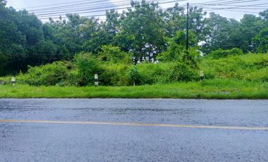 Lahan Luas 1 Hektar di Weleri