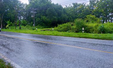 Lahan Luas 1 Hektar di Weleri