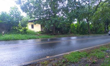 Lahan Luas 1 Hektar di Weleri