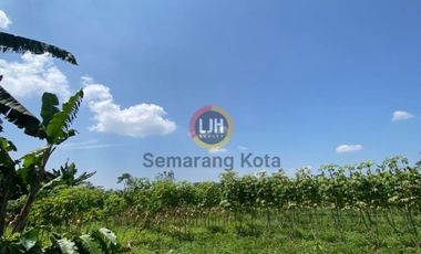 Kavling di Patean, Kendal