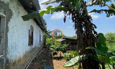 Kavling di Patean, Kendal