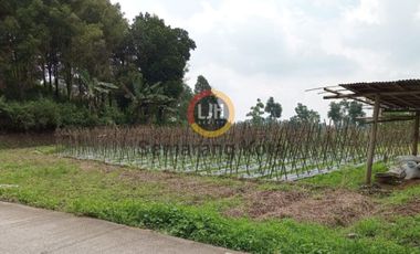 Kavling di Desa Tuwel, Tegal