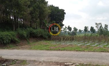 Kavling di Desa Tuwel, Tegal