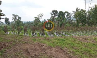 Kavling di Desa Tuwel, Tegal