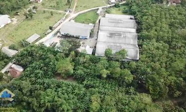 JUAL TANAH MURAH SHM DEKAT STASIUN CITERAS BANTEN