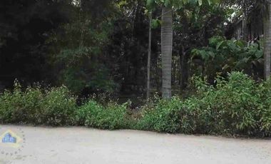 JUAL TANAH MURAH SHM DEKAT STASIUN CITERAS BANTEN