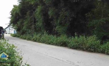 JUAL TANAH MURAH SHM DEKAT STASIUN CITERAS BANTEN