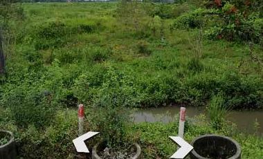 Raya Modongan Trowulan Mojokerto