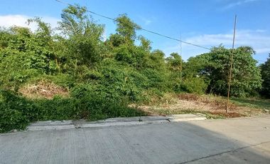 Residential Lot For Sale in Bukal Mendez Cavite-MC