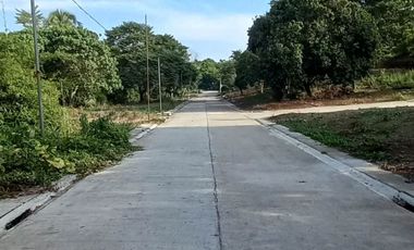 Residential Lot For Sale in Bukal Mendez Cavite-MC