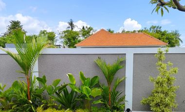 FOR SALE BEAUTIFUL VILLA WITH RICE FIELD VIEW AND LARGE SWIMMING POOL AT BULELENG