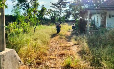 Dijual Rumah + Tanah Luas di Kutorejo Mojosari | LT 6.145 m² | Cocok Usaha & Investasi