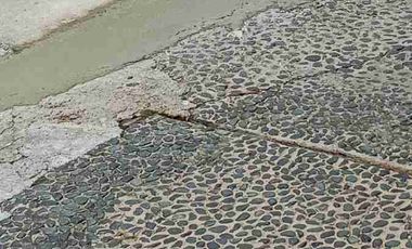 Rumah Besar, Mewah, Estetik di Condet, luas 600m² bangunan 2 lantai full,