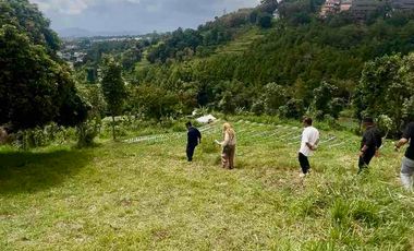 dijual tanah untuk resort-hotel-perkebunan