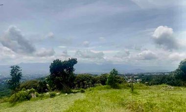 dijual tanah untuk resort-hotel-perkebunan