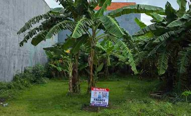 JUAL MURAH KAVLING : KLAMPIS SEMOLO BARAT , ROW JALAN SUPER LEBAR : 15 METER