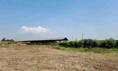 S. Pasuruan, Randupitu. Beji. Gudang Nol jalan