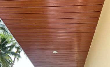 2 bedrooms House and Lot For Sale in Tinago, Dauis, Bohol