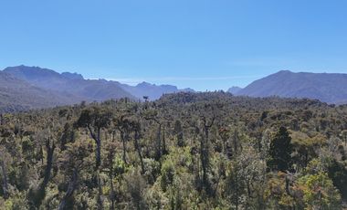 Venta Propiedad 50 Hectáreas – Lenca, Puerto Montt