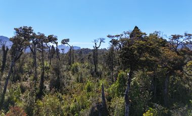 Venta Propiedad 50 Hectáreas – Lenca, Puerto Montt