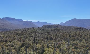 Venta Propiedad 50 Hectáreas – Lenca, Puerto Montt