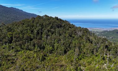 Venta Propiedad 50 Hectáreas – Lenca, Puerto Montt