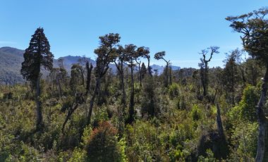 Venta Propiedad 50 Hectáreas – Lenca, Puerto Montt