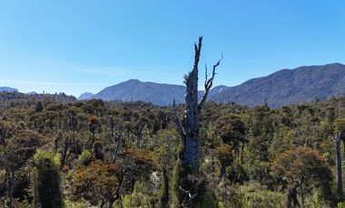 Venta Propiedad 50 Hectáreas – Lenca, Puerto Montt