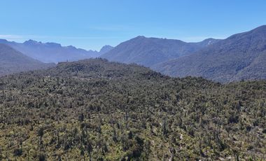 Venta Propiedad 50 Hectáreas – Lenca, Puerto Montt