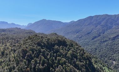 Venta Propiedad 50 Hectáreas – Lenca, Puerto Montt