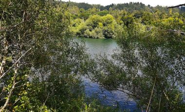 PARCELA A 17 KM DE VILLARRICA CON ORILLA RIO TOLTEN, 5.678 M2, CAMINO VILLARRICA-FREIRE, SECTOR ENTRE RIOS