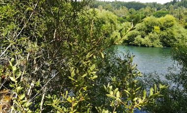PARCELA A 17 KM DE VILLARRICA CON ORILLA RIO TOLTEN, 5.678 M2, CAMINO VILLARRICA-FREIRE, SECTOR ENTRE RIOS