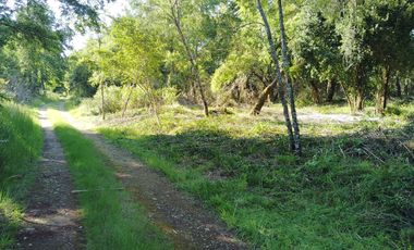PARCELA A 17 KM DE VILLARRICA CON ORILLA RIO TOLTEN, 5.678 M2, CAMINO VILLARRICA-FREIRE, SECTOR ENTRE RIOS