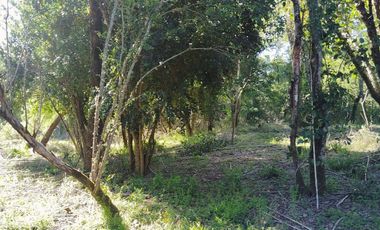 PARCELA A 17 KM DE VILLARRICA CON ORILLA RIO TOLTEN, 5.678 M2, CAMINO VILLARRICA-FREIRE, SECTOR ENTRE RIOS