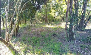 PARCELA A 17 KM DE VILLARRICA CON ORILLA RIO TOLTEN, 5.678 M2, CAMINO VILLARRICA-FREIRE, SECTOR ENTRE RIOS