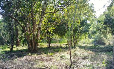 PARCELA A 17 KM DE VILLARRICA CON ORILLA RIO TOLTEN, 5.678 M2, CAMINO VILLARRICA-FREIRE, SECTOR ENTRE RIOS