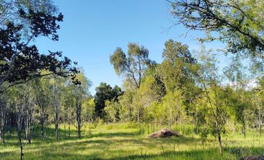 PARCELA A 17 KM DE VILLARRICA CON ORILLA RIO TOLTEN, 5.678 M2, CAMINO VILLARRICA-FREIRE, SECTOR ENTRE RIOS