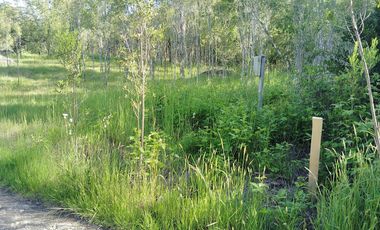 PARCELA A 17 KM DE VILLARRICA CON ORILLA RIO TOLTEN, 5.678 M2, CAMINO VILLARRICA-FREIRE, SECTOR ENTRE RIOS