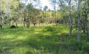 PARCELA A 17 KM DE VILLARRICA CON ORILLA RIO TOLTEN, 5.678 M2, CAMINO VILLARRICA-FREIRE, SECTOR ENTRE RIOS
